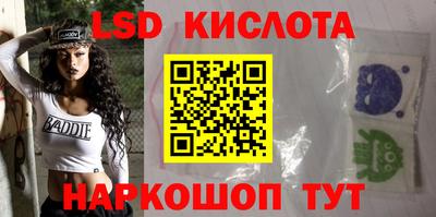 индика Кандалакша