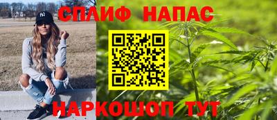 индика Кандалакша